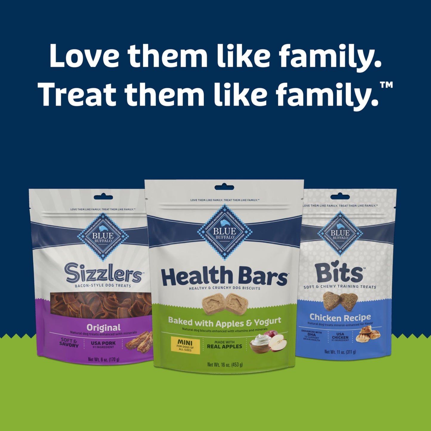 Blue Buffalo Health Bars Mini Crunchy Dog Biscuits, Oven-Baked with Natural Ingredients, Apples & Yogurt, 16-oz Bag