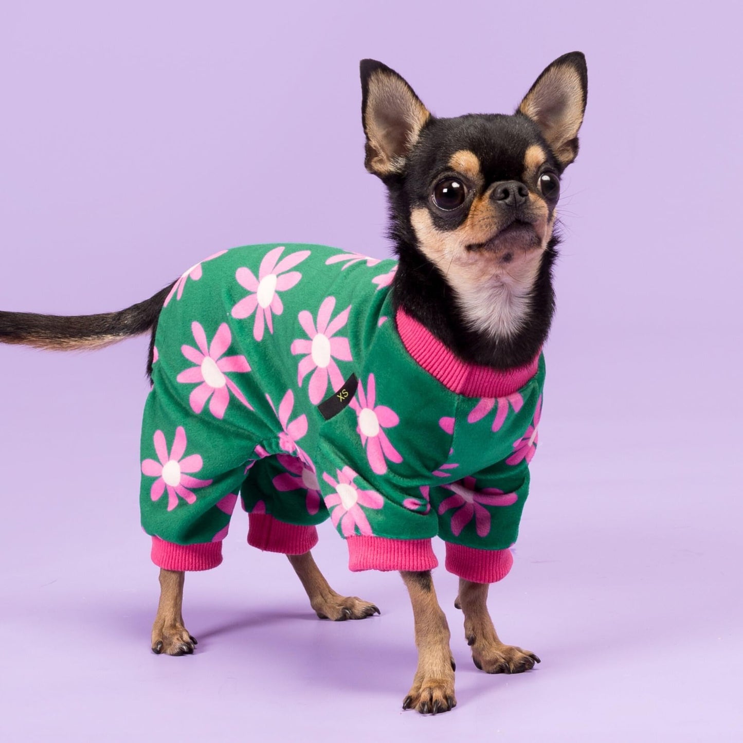 Fitwarm Bowknot Dog Pajamas, Warm Clothes for Small Dogs Girl, Fleece Pet Onesie with Feet, Burgundy Red, White, Small