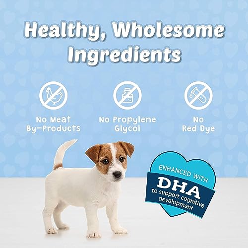 Blue Buffalo Bits Soft Dog Treats for Training, Made with Natural Ingredients & Enhanced with DHA, Beef Recipe, 19-oz Bag