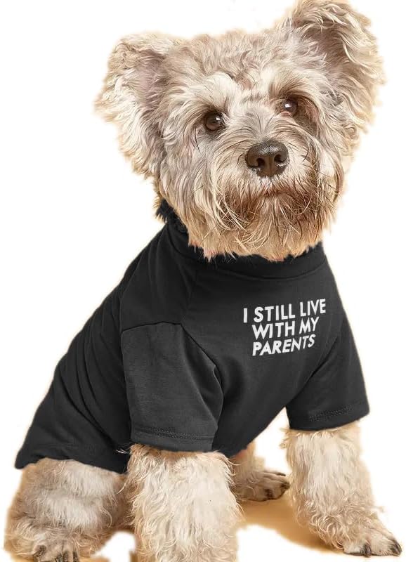 Cute Dog Clothes,Dog T Shirt for Medium Dogs, Small Dogs Girl Boy,Puppy.Breathable Soft Dog Costume Pet Dogs Cats,Pet Pullover Jumper,Cat Clothes (S-(4~8lb), Chest~14", Khaki)