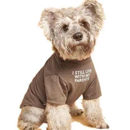 Cute Dog Clothes,Dog T Shirt for Medium Dogs, Small Dogs Girl Boy,Puppy.Breathable Soft Dog Costume Pet Dogs Cats,Pet Pullover Jumper,Cat Clothes (S-(4~8lb), Chest~14", Khaki)