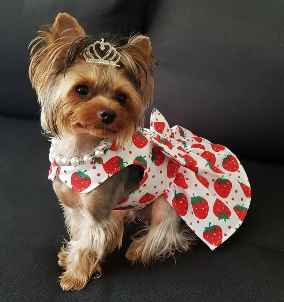 Dog Dress Bowknot Harness Leash Set for Small Girl Dogs Pink Floral Dog Cat Clothes Cute Puppy Outfits Pet Clothes Spring Summer Breathable Dresses(Samll)