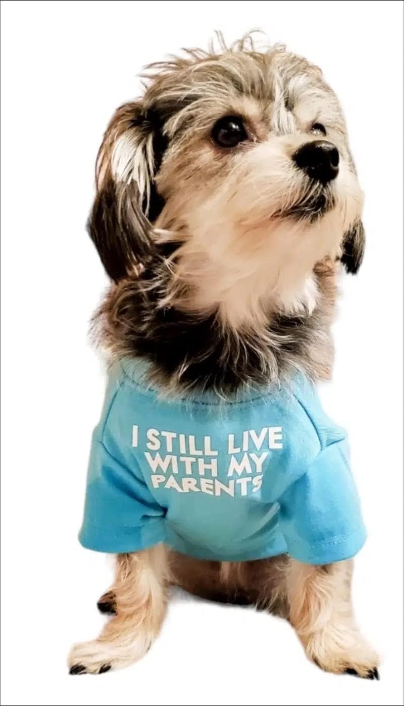 Cute Dog Clothes,Dog T Shirt for Medium Dogs, Small Dogs Girl Boy,Puppy.Breathable Soft Dog Costume Pet Dogs Cats,Pet Pullover Jumper,Cat Clothes (S-(4~8lb), Chest~14", Khaki)
