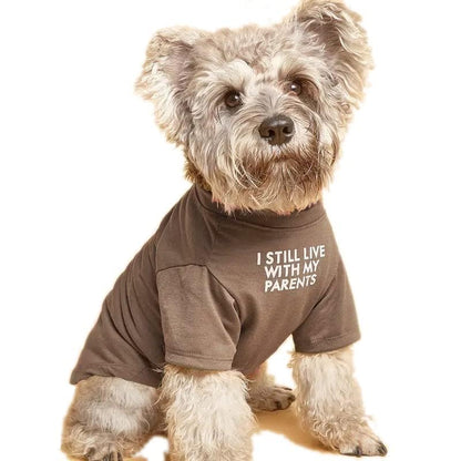 Cute Dog Clothes,Dog T Shirt for Medium Dogs, Small Dogs Girl Boy,Puppy.Breathable Soft Dog Costume Pet Dogs Cats,Pet Pullover Jumper,Cat Clothes (S-(4~8lb), Chest~14", Khaki)