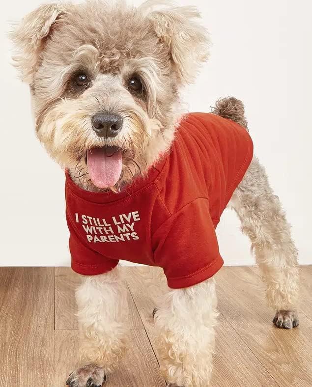 Cute Dog Clothes,Dog T Shirt for Medium Dogs, Small Dogs Girl Boy,Puppy.Breathable Soft Dog Costume Pet Dogs Cats,Pet Pullover Jumper,Cat Clothes (S-(4~8lb), Chest~14", Khaki)