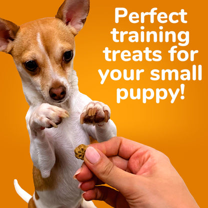 Fruitables Skinny Mini Dog Treats, Healthy Sweet Potato Treat for Dogs, Low Calorie & Delicious, Puppy Training, No Wheat, Corn or Soy, Made in the USA, Bacon and Apple Flavor, 12oz