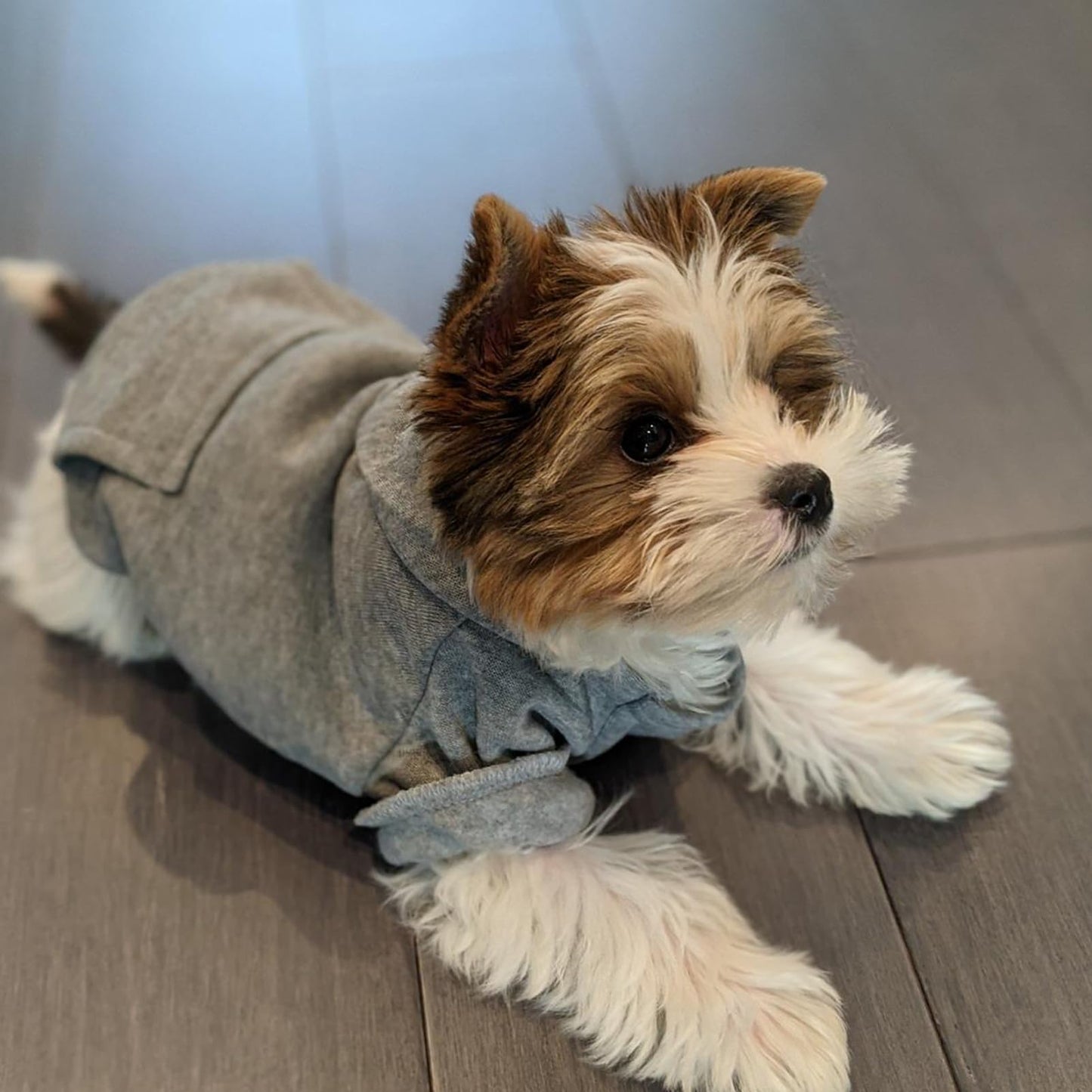 Jecikelon Winter Dog Hoodie Sweatshirts with Pockets Warm Dog Clothes for Small Dogs Chihuahua Coat Clothing Puppy Cat Custume (Coffee, Small)