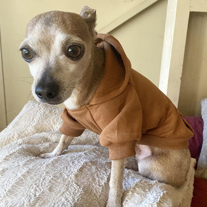 Jecikelon Winter Dog Hoodie Sweatshirts with Pockets Warm Dog Clothes for Small Dogs Chihuahua Coat Clothing Puppy Cat Custume (Coffee, Small)