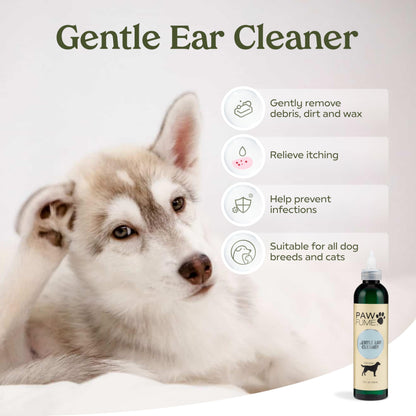 PAWFUME Dog Perfume Spray for Grooming, Blue Ribbon, 1-Pack – Keep Your Pup Fresh All Day – Probiotic, Alcohol-Free, Detangling & Moisturizing – Salon-Quality Dog Spray Deodorizer Perfume