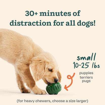 WOOF Starter Pack - Interactive Dog Ball Toy for Boredom - Dog Treat Molds Silicone - Chicken-Flavored Healthy Treats for Dogs - Pupsicle Doggy Enrichment Toy - for Large Pups - 25-75 lbs