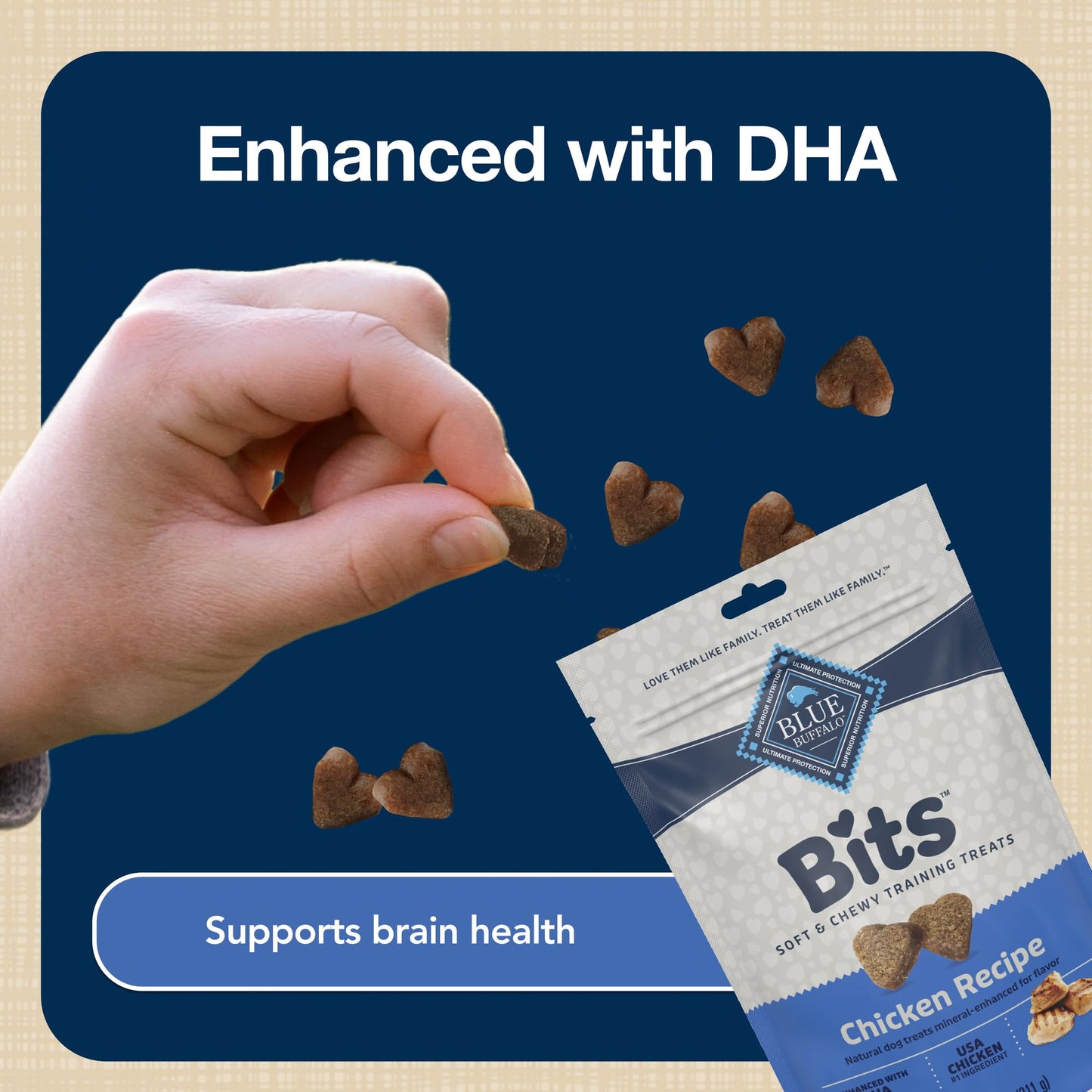 Blue Buffalo Bits Soft Dog Treats for Training, Made with Natural Ingredients & Enhanced with DHA, Beef Recipe, 19-oz Bag