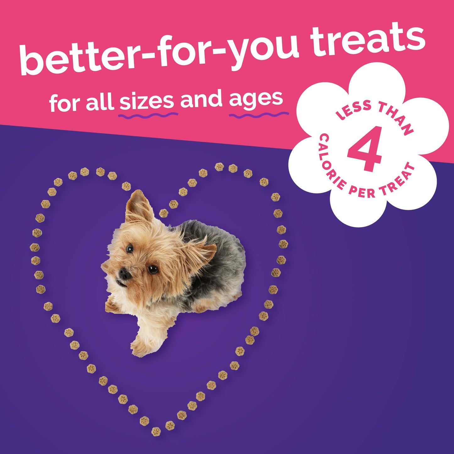 Fruitables Skinny Mini Dog Treats, Healthy Sweet Potato Treat for Dogs, Low Calorie & Delicious, Puppy Training, No Wheat, Corn or Soy, Made in the USA, Bacon and Apple Flavor, 12oz