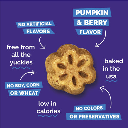 Fruitables Skinny Mini Dog Treats, Healthy Sweet Potato Treat for Dogs, Low Calorie & Delicious, Puppy Training, No Wheat, Corn or Soy, Made in the USA, Bacon and Apple Flavor, 12oz