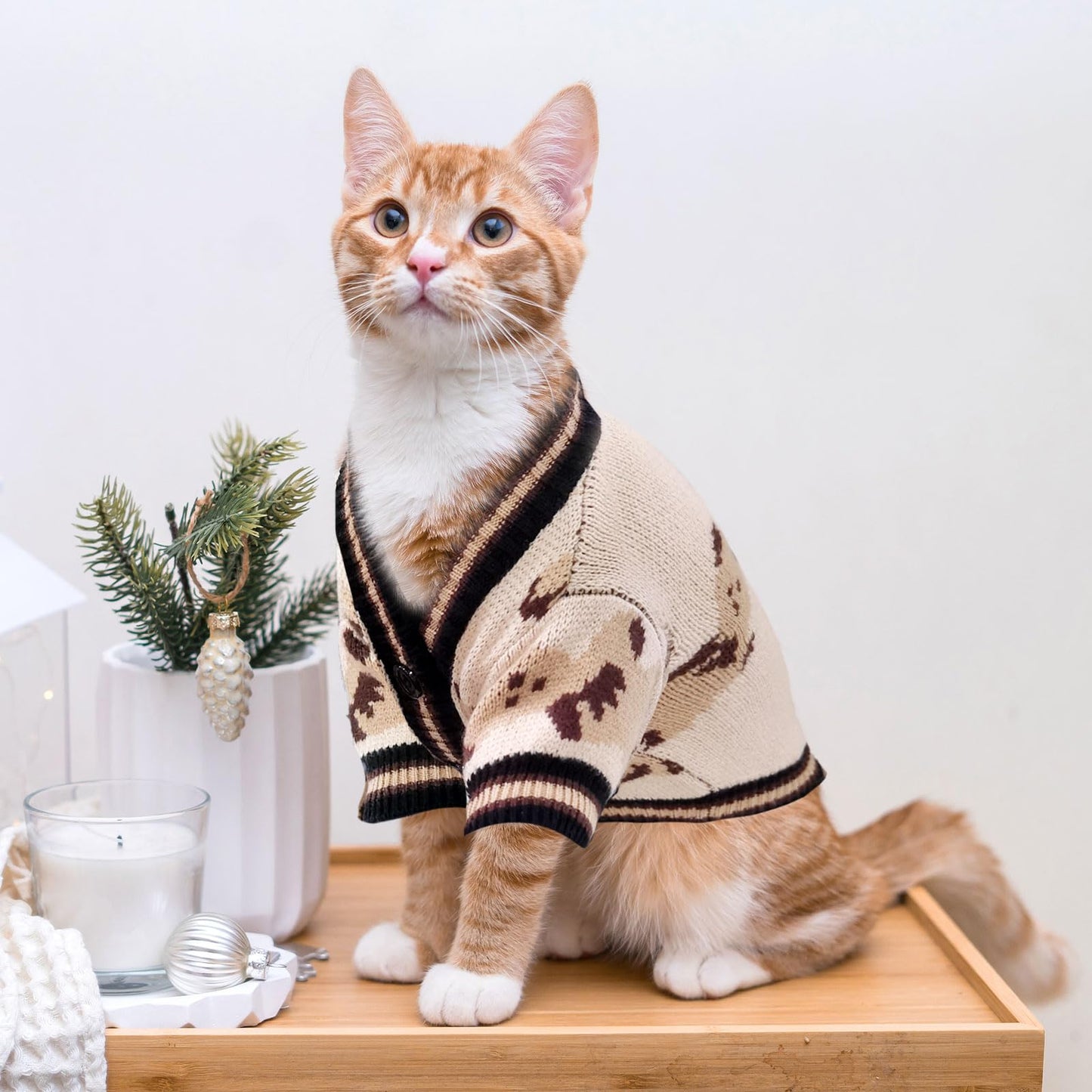 ABRRLO Small Dog Sweaters Cute Bear Dog Cardigans Clothes for Small Medium Dogs Boy Girl Puppy Cat Knitting Cardigan Outfits Dogs Autumn Coats Warm Pet Doggy Clothes Soft Knitwear Apparel (Beige,M)