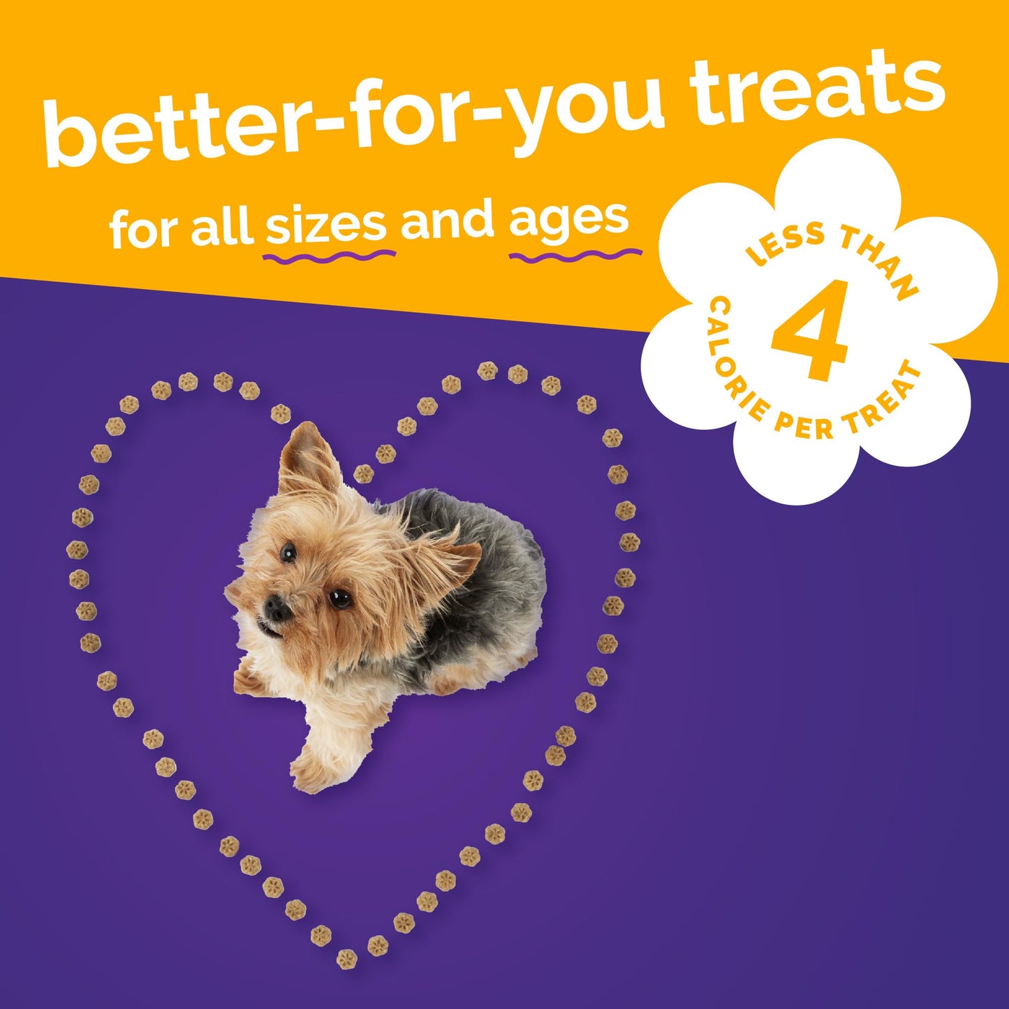 Fruitables Skinny Mini Dog Treats, Healthy Sweet Potato Treat for Dogs, Low Calorie & Delicious, Puppy Training, No Wheat, Corn or Soy, Made in the USA, Bacon and Apple Flavor, 12oz