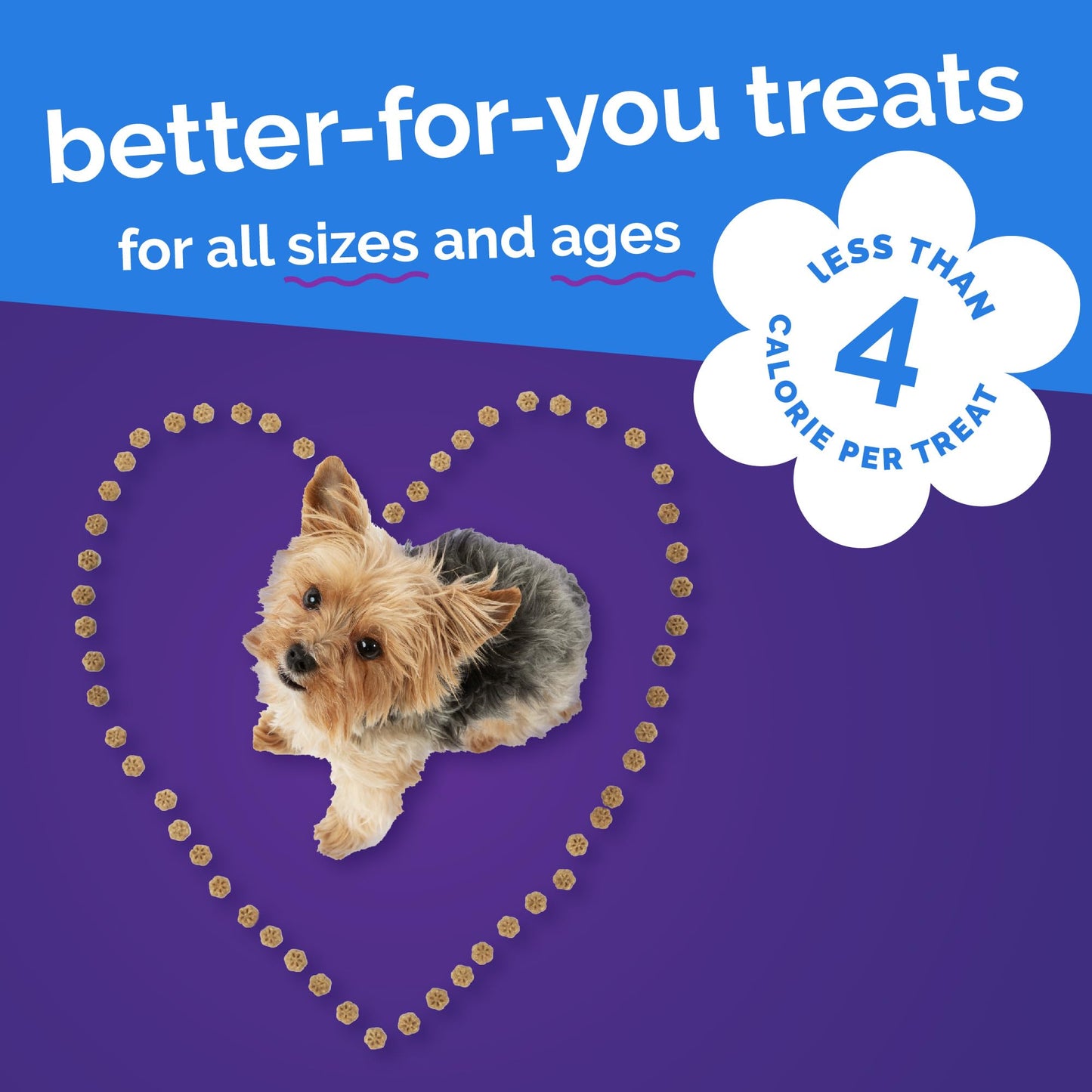 Fruitables Skinny Mini Dog Treats, Healthy Sweet Potato Treat for Dogs, Low Calorie & Delicious, Puppy Training, No Wheat, Corn or Soy, Made in the USA, Bacon and Apple Flavor, 12oz