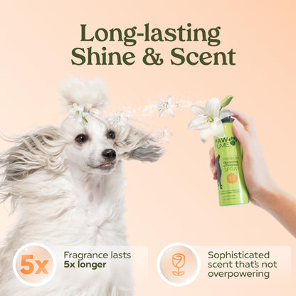 PAWFUME Dog Perfume Spray for Grooming, Blue Ribbon, 1-Pack – Keep Your Pup Fresh All Day – Probiotic, Alcohol-Free, Detangling & Moisturizing – Salon-Quality Dog Spray Deodorizer Perfume