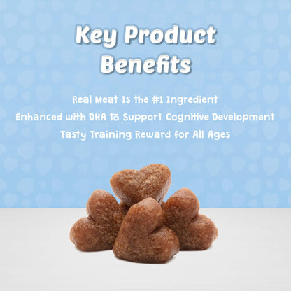 Blue Buffalo Bits Soft Dog Treats for Training, Made with Natural Ingredients & Enhanced with DHA, Beef Recipe, 19-oz Bag