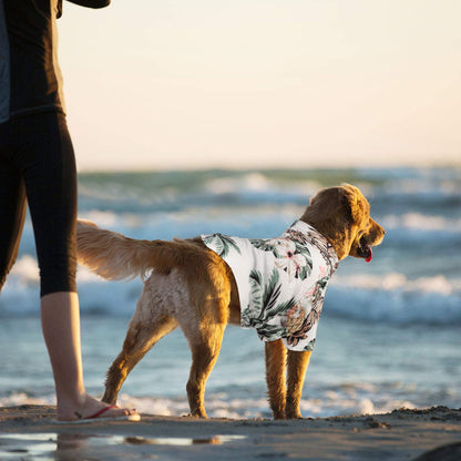Weewooday 4 Pieces Small Pet Summer T-Shirts Hawaii Style Floral Pet Dog Shirt Breathable Cool Clothes Beach Seaside Puppy Sweatshirt for Puppy(Floral Style,Medium)