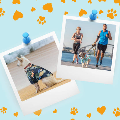 Weewooday 4 Pieces Small Pet Summer T-Shirts Hawaii Style Floral Pet Dog Shirt Breathable Cool Clothes Beach Seaside Puppy Sweatshirt for Puppy(Floral Style,Medium)