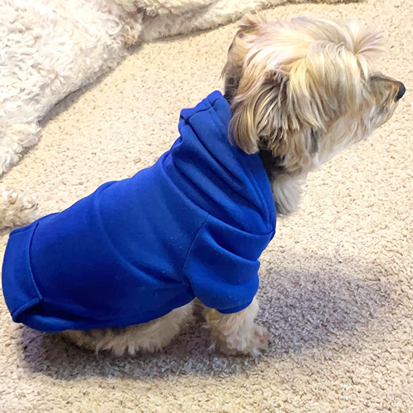 Jecikelon Winter Dog Hoodie Sweatshirts with Pockets Warm Dog Clothes for Small Dogs Chihuahua Coat Clothing Puppy Cat Custume (Coffee, Small)
