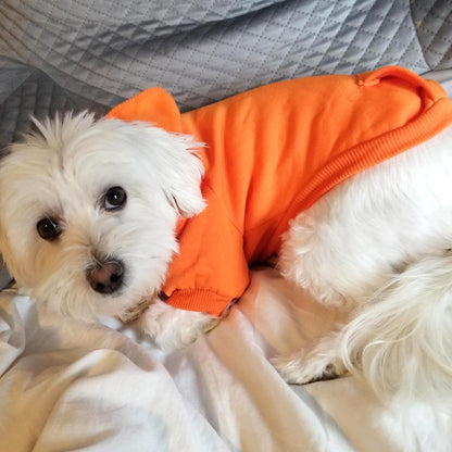 Jecikelon Winter Dog Hoodie Sweatshirts with Pockets Warm Dog Clothes for Small Dogs Chihuahua Coat Clothing Puppy Cat Custume (Coffee, Small)