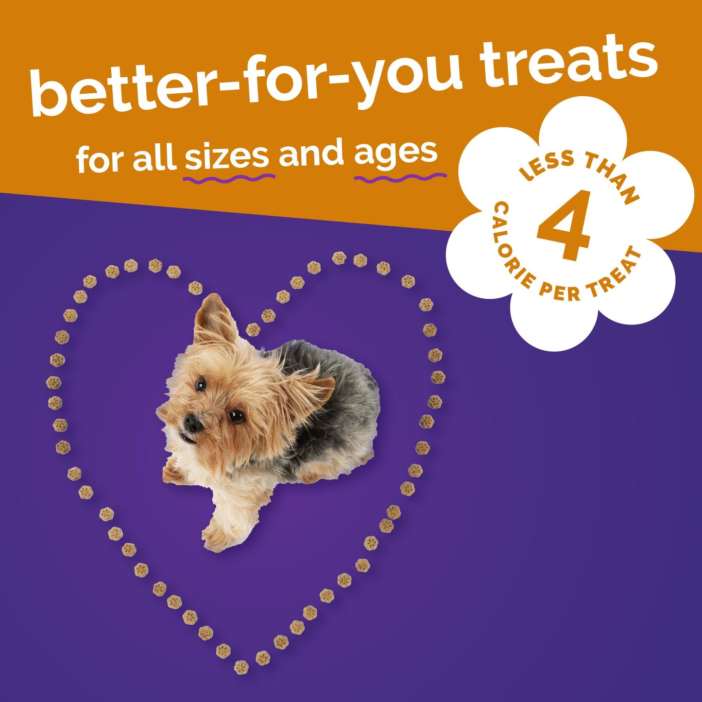 Fruitables Skinny Mini Dog Treats, Healthy Sweet Potato Treat for Dogs, Low Calorie & Delicious, Puppy Training, No Wheat, Corn or Soy, Made in the USA, Bacon and Apple Flavor, 12oz