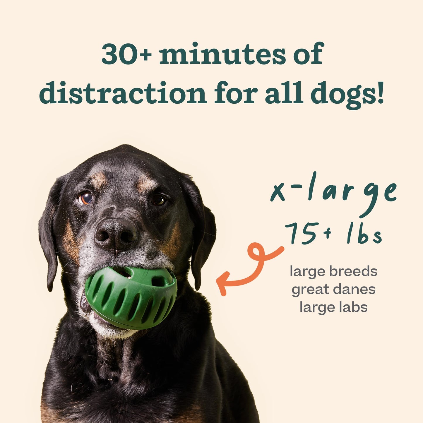 WOOF Starter Pack - Interactive Dog Ball Toy for Boredom - Dog Treat Molds Silicone - Chicken-Flavored Healthy Treats for Dogs - Pupsicle Doggy Enrichment Toy - for Large Pups - 25-75 lbs