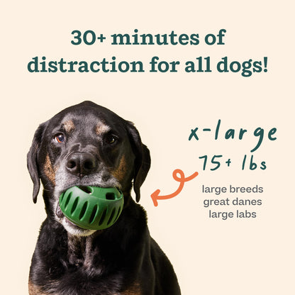 WOOF Starter Pack - Interactive Dog Ball Toy for Boredom - Dog Treat Molds Silicone - Chicken-Flavored Healthy Treats for Dogs - Pupsicle Doggy Enrichment Toy - for Large Pups - 25-75 lbs