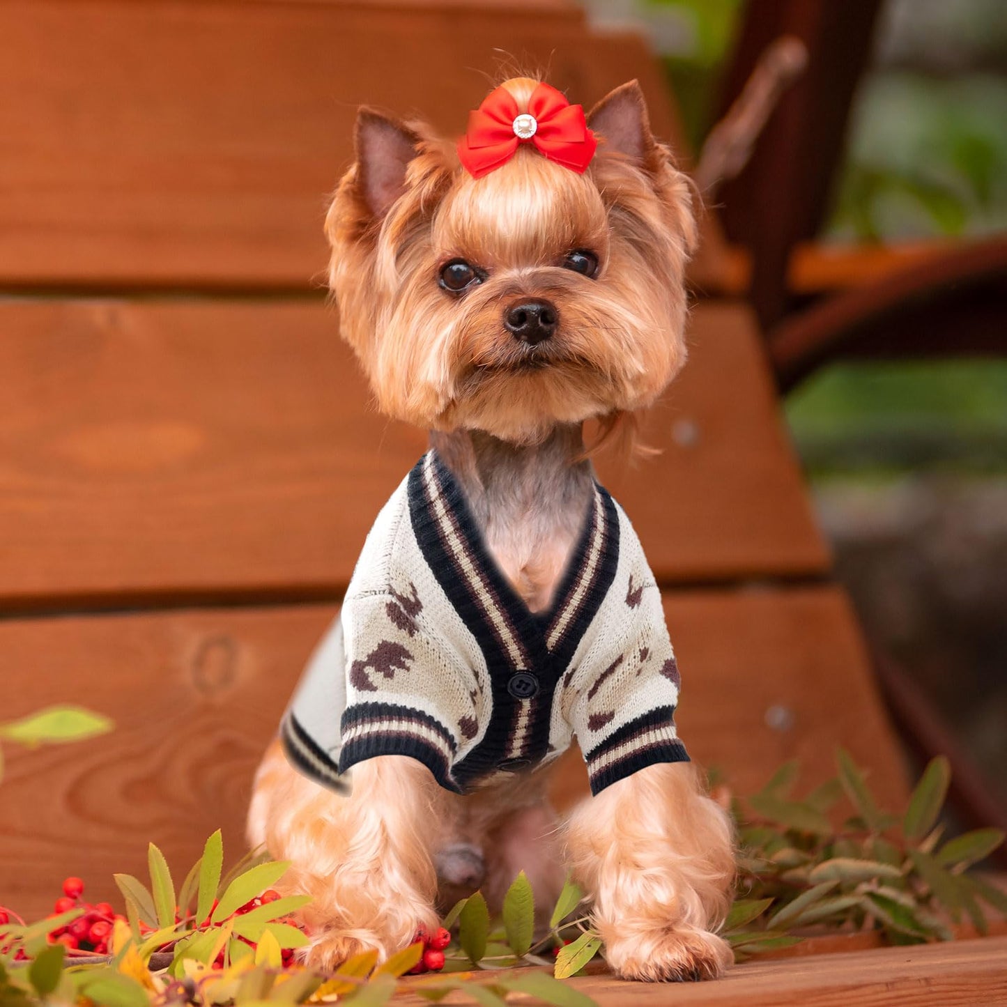 ABRRLO Small Dog Sweaters Cute Bear Dog Cardigans Clothes for Small Medium Dogs Boy Girl Puppy Cat Knitting Cardigan Outfits Dogs Autumn Coats Warm Pet Doggy Clothes Soft Knitwear Apparel (Beige,M)