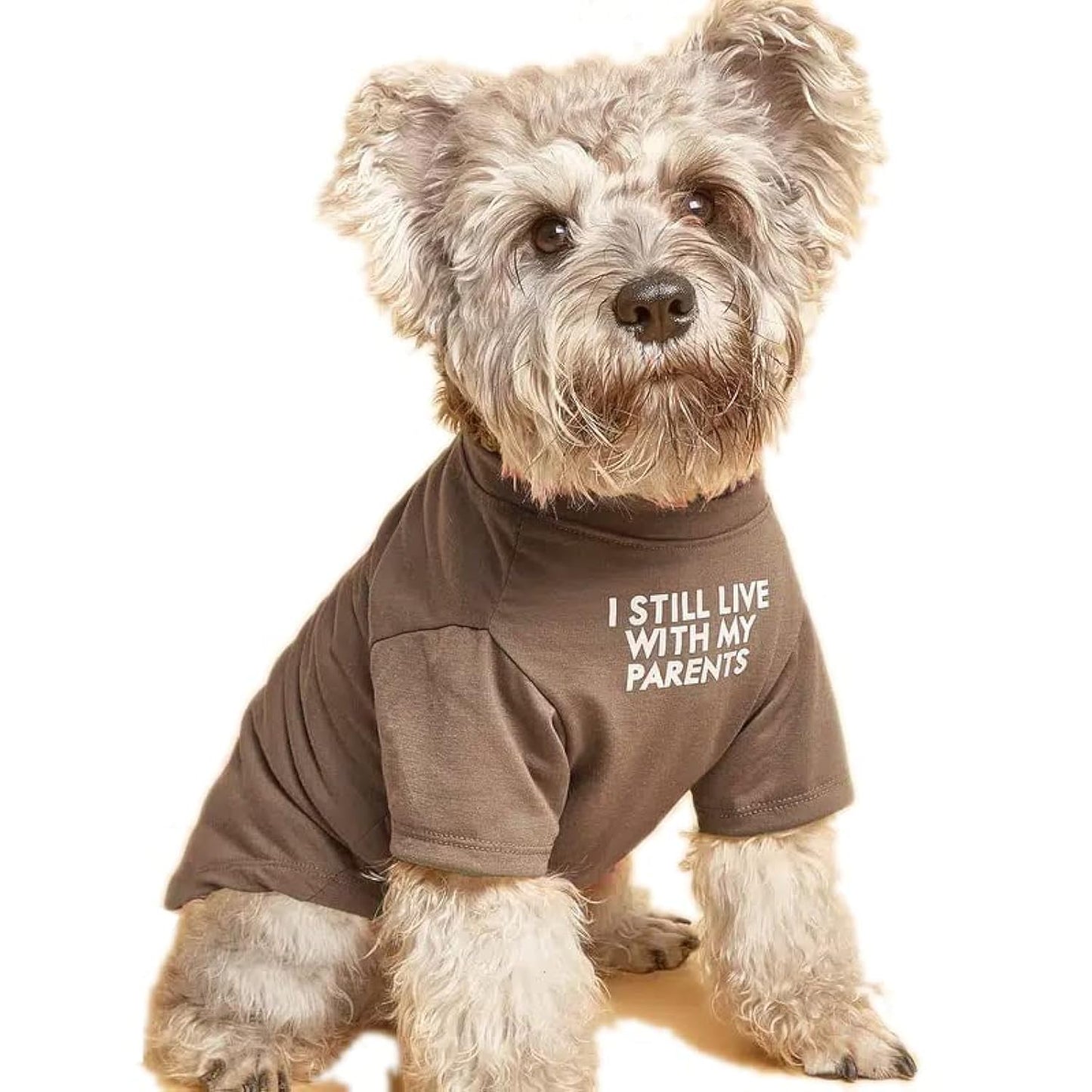 Cute Dog Clothes,Dog T Shirt for Medium Dogs, Small Dogs Girl Boy,Puppy.Breathable Soft Dog Costume Pet Dogs Cats,Pet Pullover Jumper,Cat Clothes (S-(4~8lb), Chest~14", Khaki)