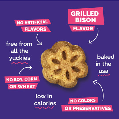 Fruitables Skinny Mini Dog Treats, Healthy Sweet Potato Treat for Dogs, Low Calorie & Delicious, Puppy Training, No Wheat, Corn or Soy, Made in the USA, Bacon and Apple Flavor, 12oz