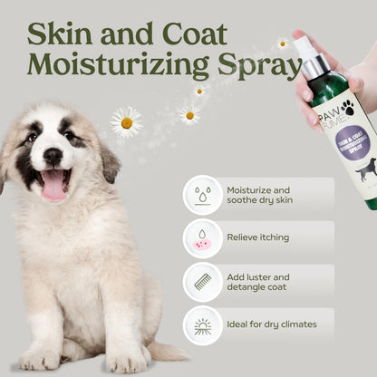 PAWFUME Dog Perfume Spray for Grooming, Blue Ribbon, 1-Pack – Keep Your Pup Fresh All Day – Probiotic, Alcohol-Free, Detangling & Moisturizing – Salon-Quality Dog Spray Deodorizer Perfume