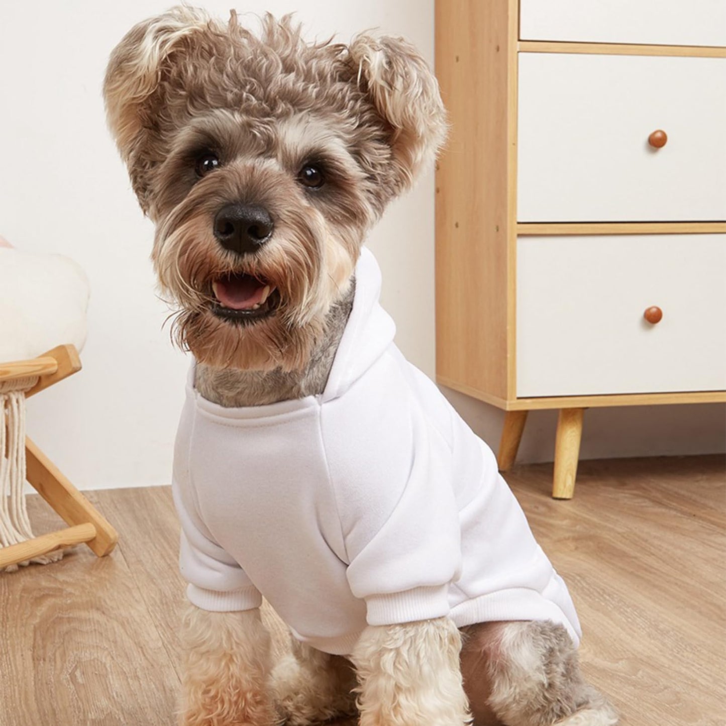 Jecikelon Winter Dog Hoodie Sweatshirts with Pockets Warm Dog Clothes for Small Dogs Chihuahua Coat Clothing Puppy Cat Custume (Coffee, Small)