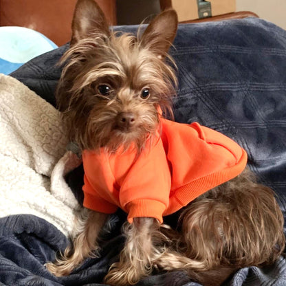 Jecikelon Winter Dog Hoodie Sweatshirts with Pockets Warm Dog Clothes for Small Dogs Chihuahua Coat Clothing Puppy Cat Custume (Coffee, Small)