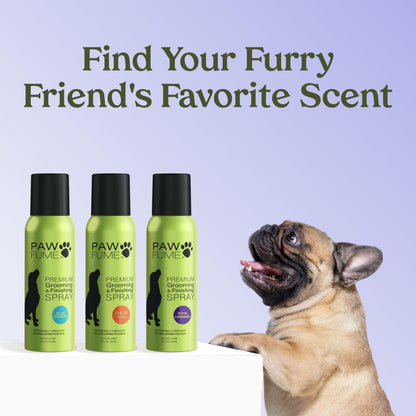 PAWFUME Dog Perfume Spray for Grooming, Blue Ribbon, 1-Pack – Keep Your Pup Fresh All Day – Probiotic, Alcohol-Free, Detangling & Moisturizing – Salon-Quality Dog Spray Deodorizer Perfume