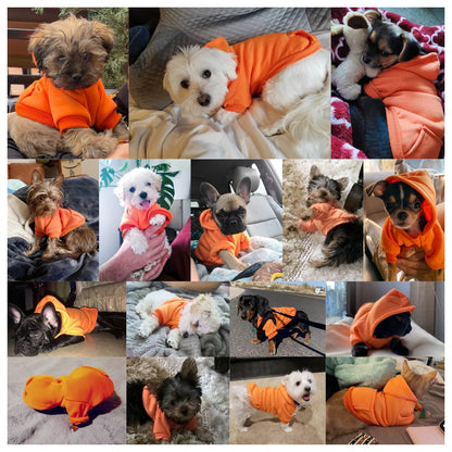 Jecikelon Winter Dog Hoodie Sweatshirts with Pockets Warm Dog Clothes for Small Dogs Chihuahua Coat Clothing Puppy Cat Custume (Coffee, Small)