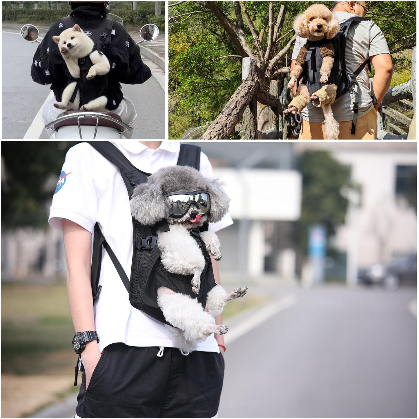 Dog Front Carrier Backpacks for Small Dogs, Legs Out Pet Carrier Sling Backpack with Adjustable Padded Ventilated Shoulder Straps, Easy-Fit for Traveling Hiking Camping,Medium