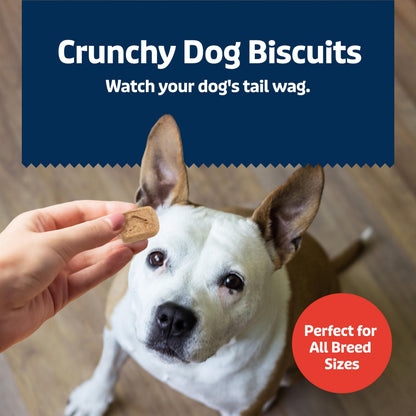 Blue Buffalo Health Bars Mini Crunchy Dog Biscuits, Oven-Baked with Natural Ingredients, Apples & Yogurt, 16-oz Bag
