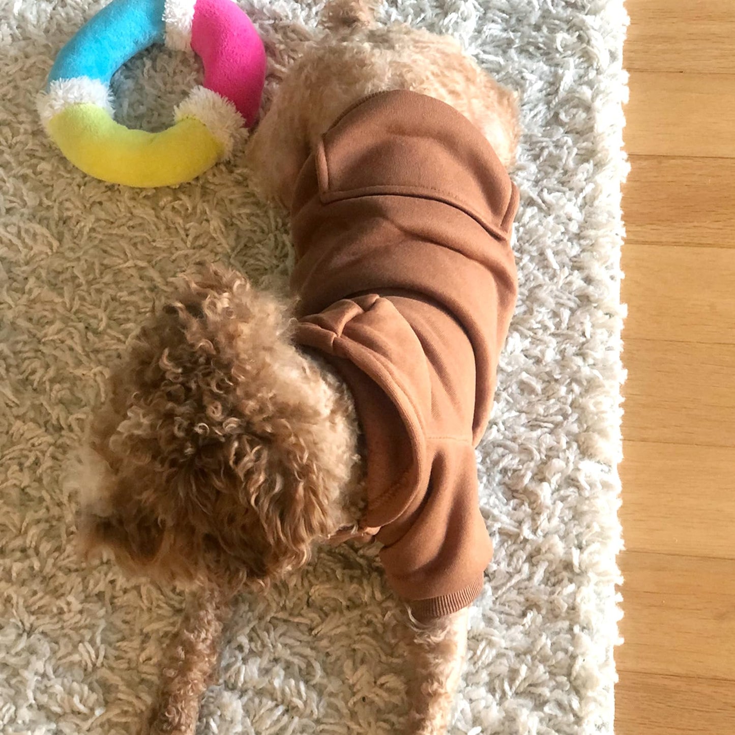 Jecikelon Winter Dog Hoodie Sweatshirts with Pockets Warm Dog Clothes for Small Dogs Chihuahua Coat Clothing Puppy Cat Custume (Coffee, Small)