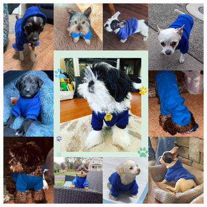 Jecikelon Winter Dog Hoodie Sweatshirts with Pockets Warm Dog Clothes for Small Dogs Chihuahua Coat Clothing Puppy Cat Custume (Coffee, Small)