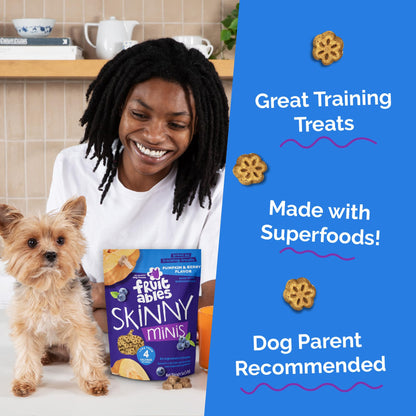 Fruitables Skinny Mini Dog Treats, Healthy Sweet Potato Treat for Dogs, Low Calorie & Delicious, Puppy Training, No Wheat, Corn or Soy, Made in the USA, Bacon and Apple Flavor, 12oz