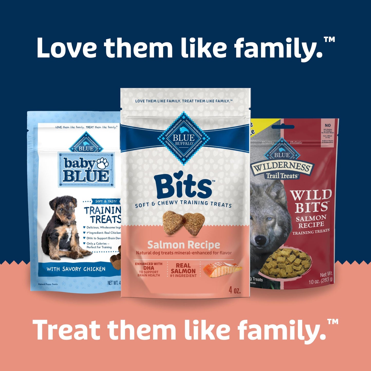 Blue Buffalo Bits Soft Dog Treats for Training, Made with Natural Ingredients & Enhanced with DHA, Beef Recipe, 19-oz Bag