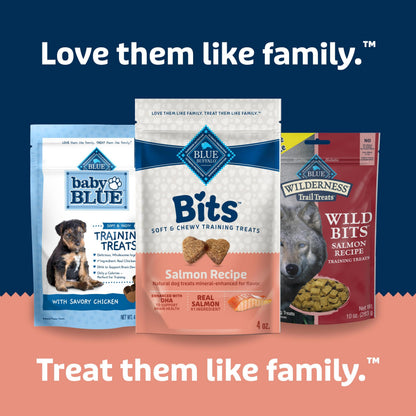 Blue Buffalo Bits Soft Dog Treats for Training, Made with Natural Ingredients & Enhanced with DHA, Beef Recipe, 19-oz Bag