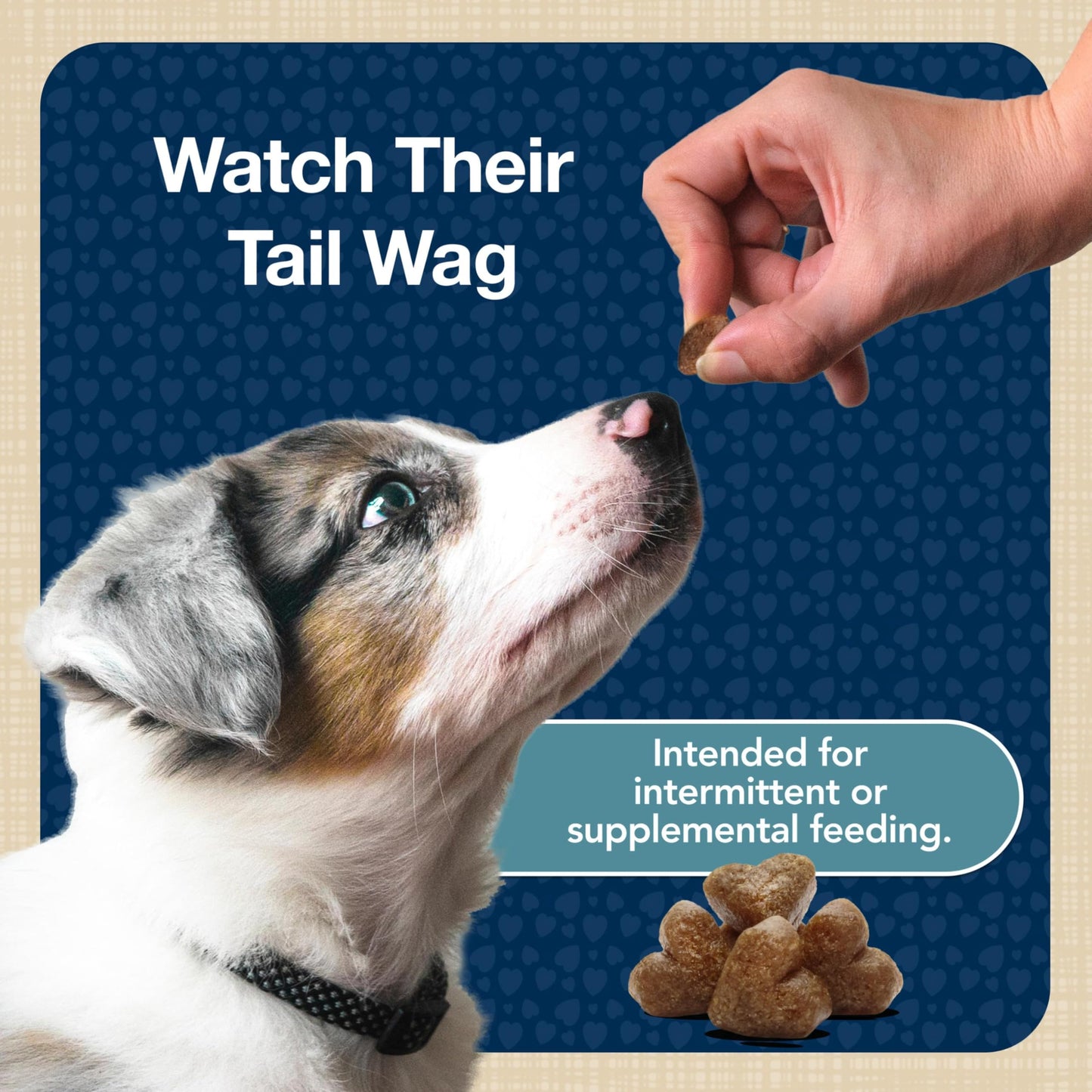 Blue Buffalo Bits Soft Dog Treats for Training, Made with Natural Ingredients & Enhanced with DHA, Beef Recipe, 19-oz Bag