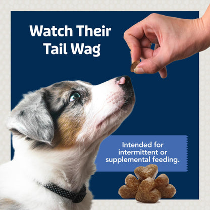 Blue Buffalo Bits Soft Dog Treats for Training, Made with Natural Ingredients & Enhanced with DHA, Beef Recipe, 19-oz Bag