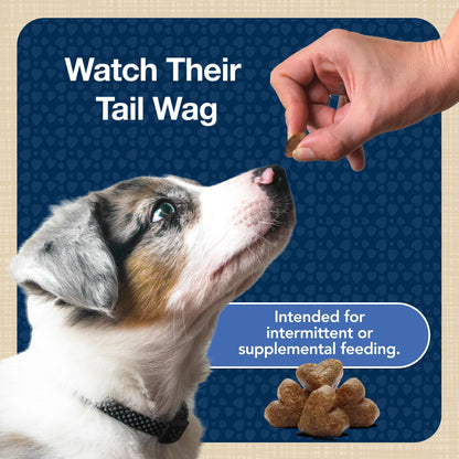 Blue Buffalo Bits Soft Dog Treats for Training, Made with Natural Ingredients & Enhanced with DHA, Beef Recipe, 19-oz Bag