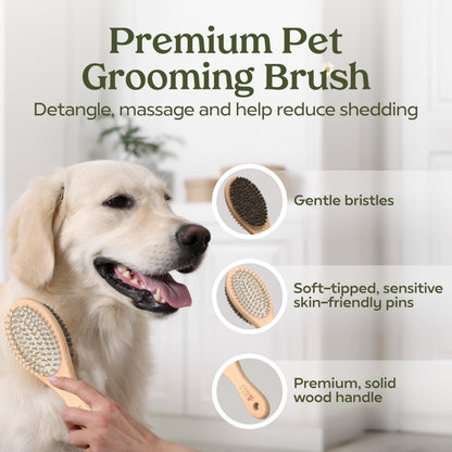 PAWFUME Dog Perfume Spray for Grooming, Blue Ribbon, 1-Pack – Keep Your Pup Fresh All Day – Probiotic, Alcohol-Free, Detangling & Moisturizing – Salon-Quality Dog Spray Deodorizer Perfume