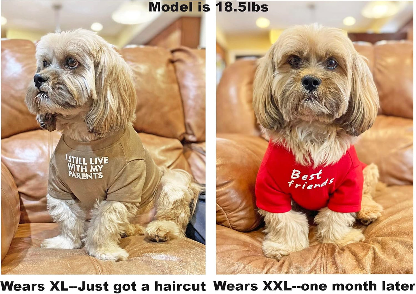 Cute Dog Clothes,Dog T Shirt for Medium Dogs, Small Dogs Girl Boy,Puppy.Breathable Soft Dog Costume Pet Dogs Cats,Pet Pullover Jumper,Cat Clothes (S-(4~8lb), Chest~14", Khaki)