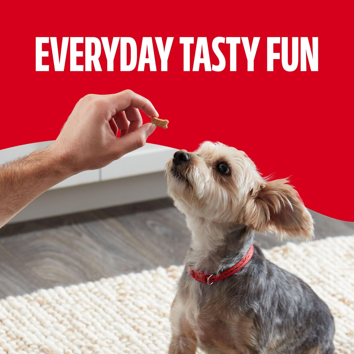 Milk-Bone Soft & Chewy Dog Treats, Beef & Filet Mignon Recipe, 25 Ounce